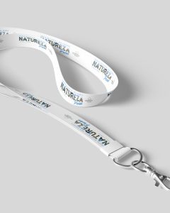 galeria blog btl2026 2