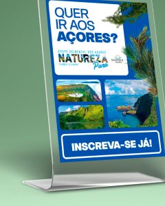 galeria blog btl2026 3