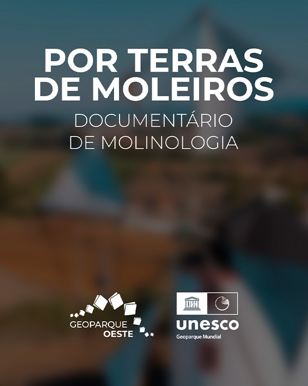 imagem blog terras moleiros