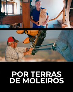 imagem galeria terras moleiros 4